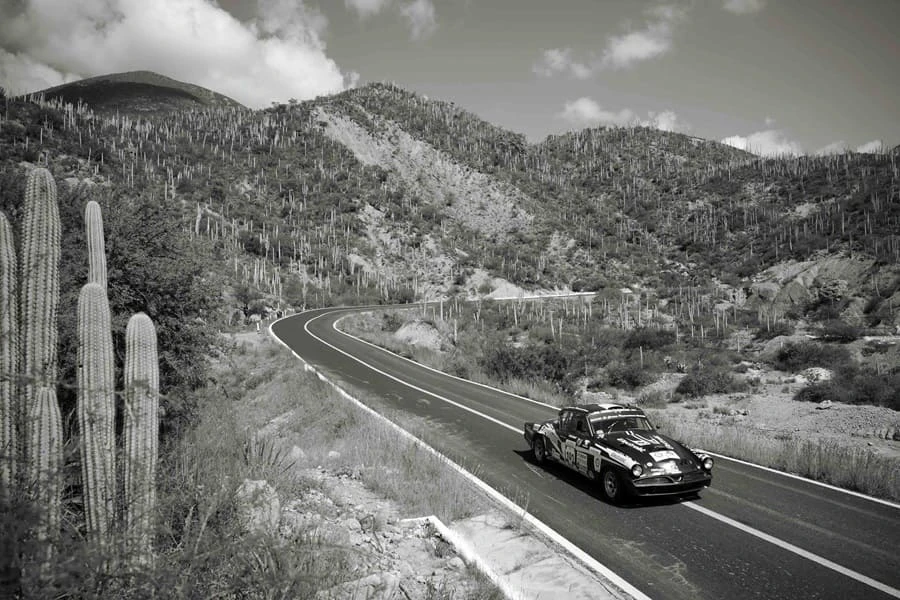 Edición 2024 de la Carrera Panamericana 2024. | Panamericana Racing