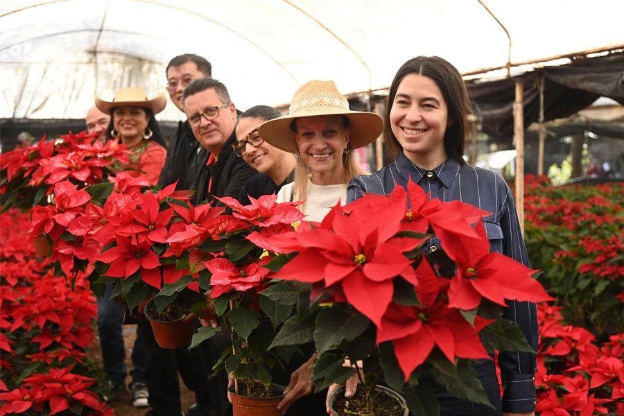 Autoridades del Gobierno de la CDMX con las flores de nochebuena de Xochimilco. | Gobierno de la CDMX