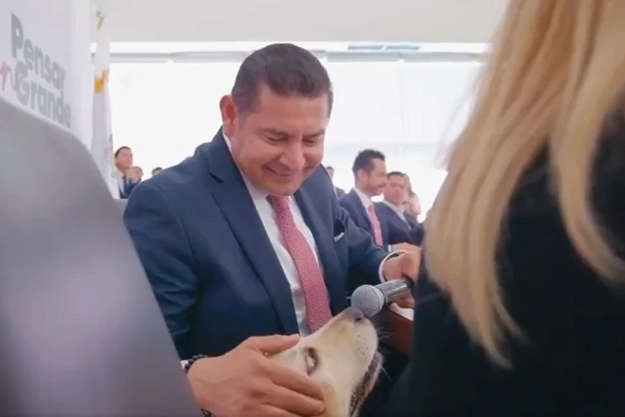 ¿Woof? Gobernador Armenta nombra a su perro director de Bienestar Animal. Foto: Screenshot